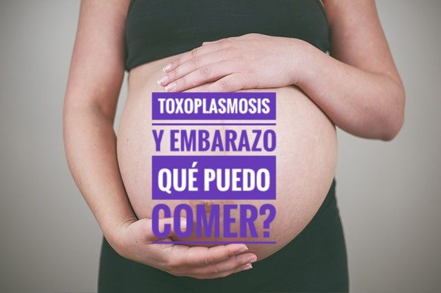 toxoplasmosis y embarazo - Toxoplasmosis y embarazo. Qué se puede comer?